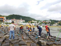 탐진강에서 바닥에 깔린 돌을 청소도구로 깨끗하게 청소중인 장흥군 기관·사회단체자들 모습
