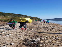 장흥군 회진면 새마을 남 .여 지도자 회원들은 15일 회진면 해안선에서 해양쓰레기 수거 정화 활동을 실시하고 있다.
