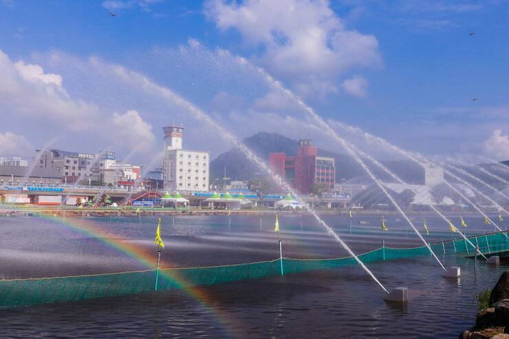2022년 제15회 정남진 장흥 물축제 물축제 전 현장 사진 입니다.