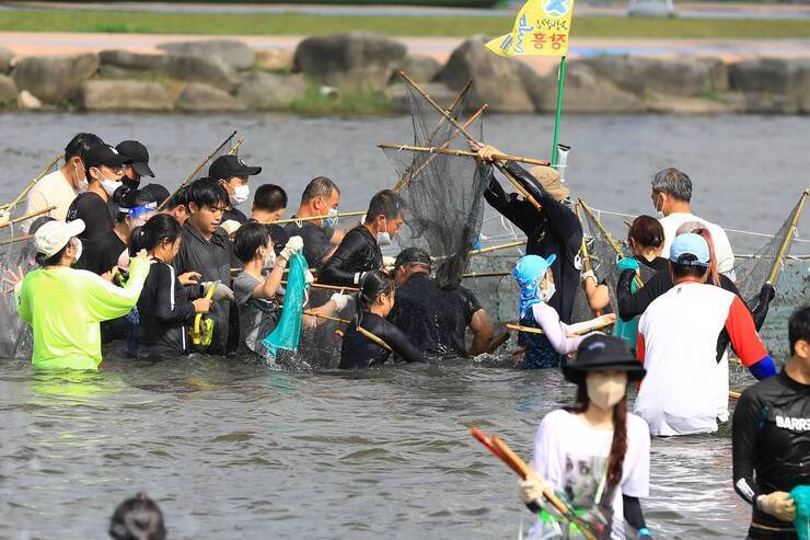 제15회 정남진 물축제 황금물고기를 잡아라 사진입니다.