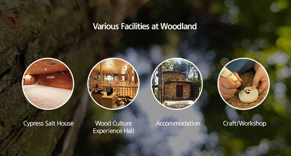 Various Facilities at Woodland