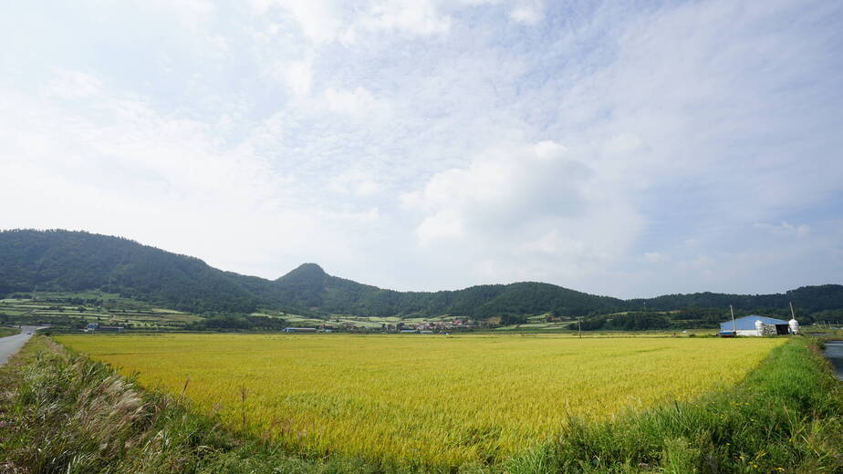 선학동마을