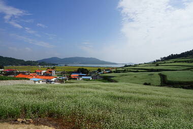 선학동마을