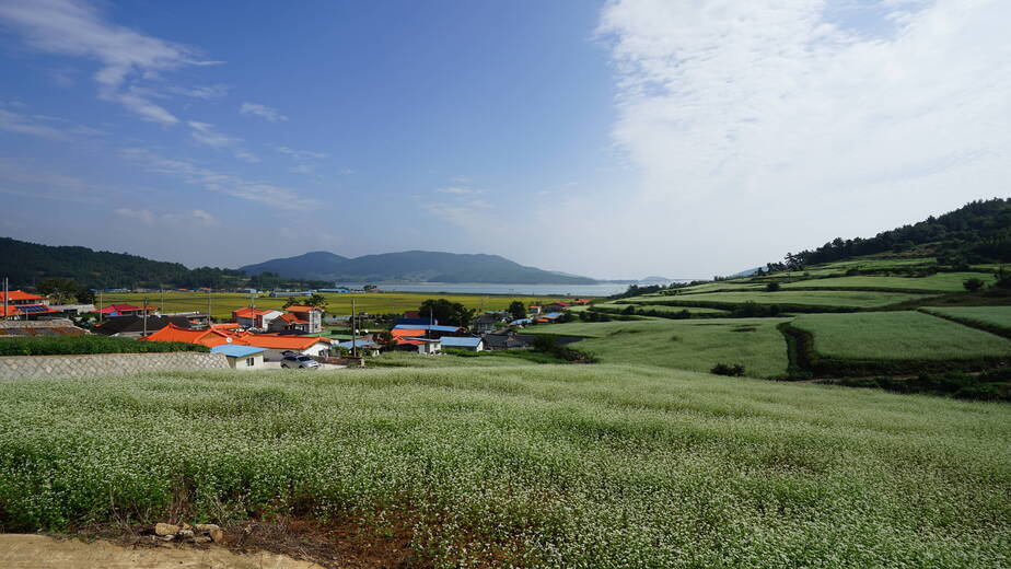 선학동마을