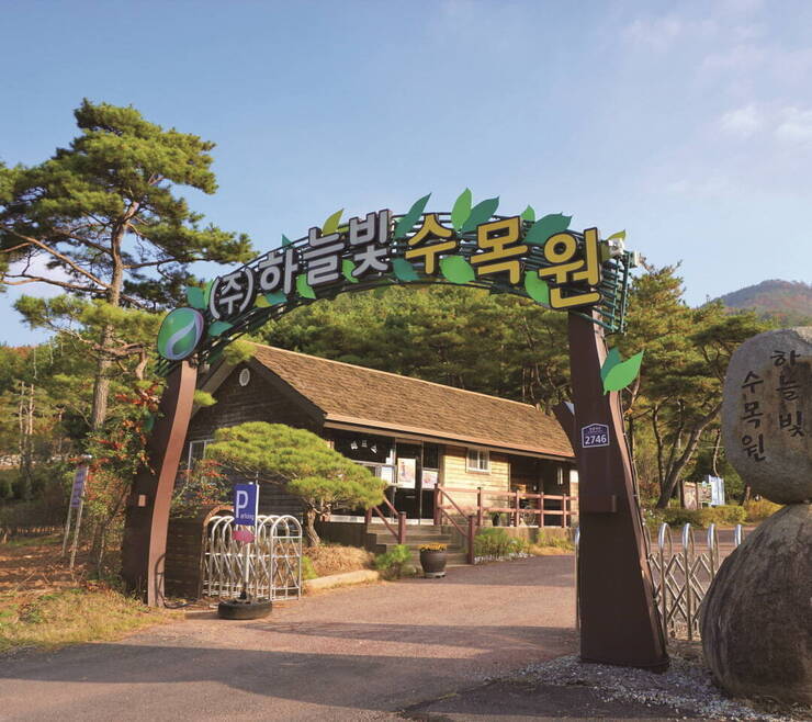 장흥 함지봉 자락의 하늘빛수목원 정문.