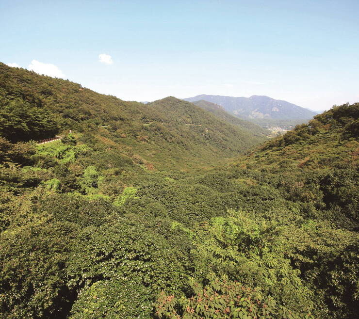 천관산자연휴양림 내에는 1.7km에 이르는 산책로가 마련됐다.