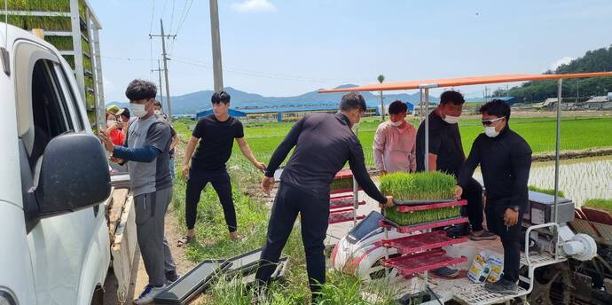 2021년 장흥군4-H연합회 공동과제포 모내기