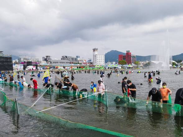 제15회 정남진 물축제 황금물고기를 잡아라 사진입니다.