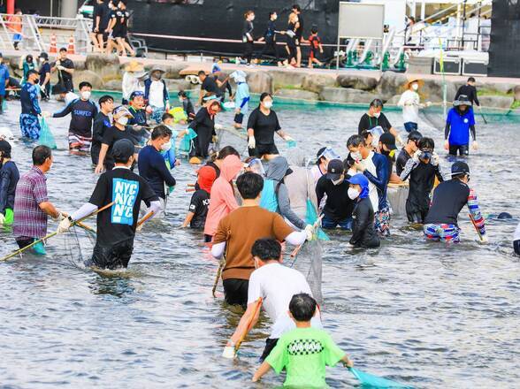 제15회 정남진 물축제 황금물고기를 잡아라 사진입니다.