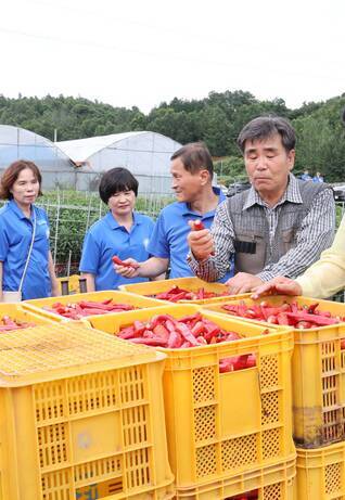 원예특작분야 영농현장 방문(유기농 고추, 애플망고, 루비로망)(1)(크게보기)