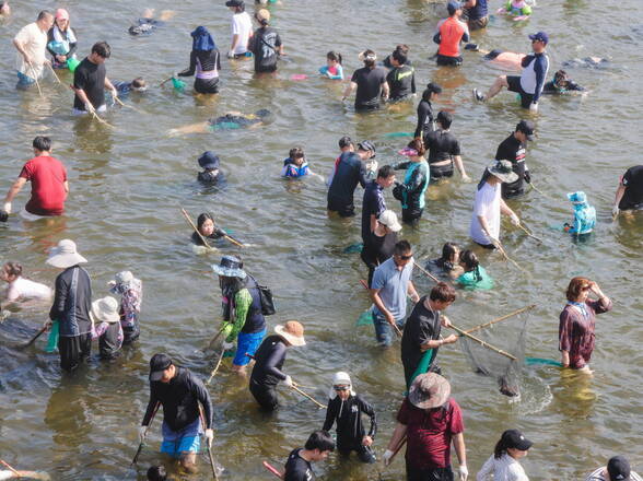 2023년 제16회 정남진 장흥 물축제 물축제 황금물고기(대왕장어)를 잡아라