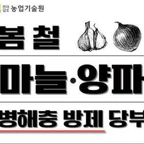 표지