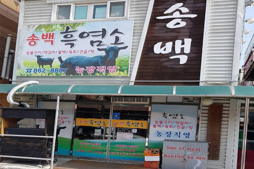 송백흑염소