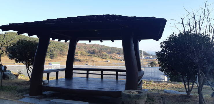 정자