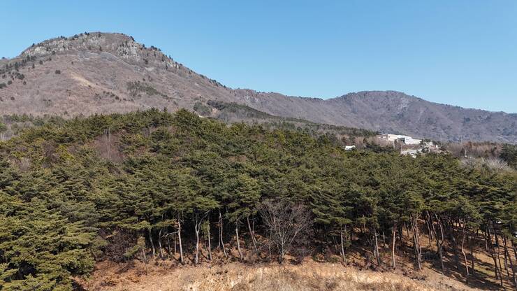 기산리6
