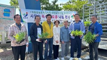 옥수수모종나눔1