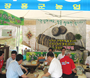 정남진 장흥 물축제