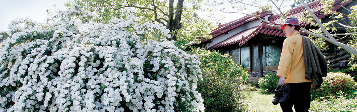 한승원 작가가 흰꽃이 만발한 정원을 걷고있는 모습