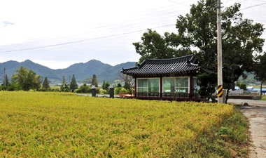 용산면 상금리의 시골길