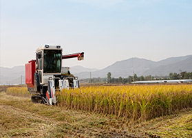 농기계로 쌀을 수확하고 있는 모습