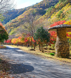 사람들이 숲해설프로그램에 참여하는 모습