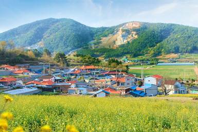 선학동마을 전경