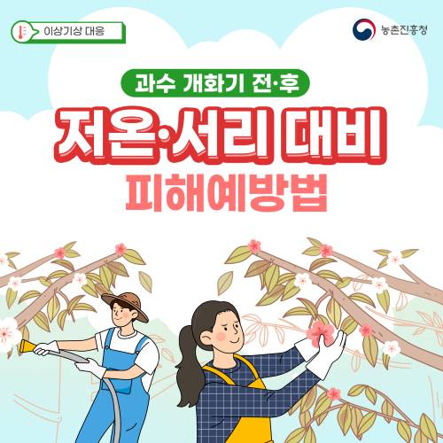 표지