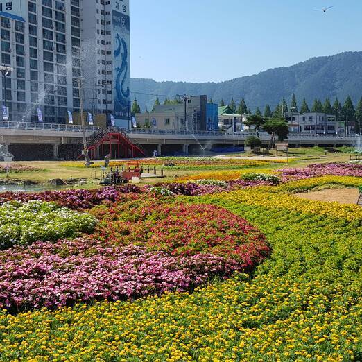 꽃동산