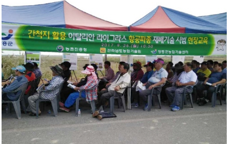 간척지 활용 이탈리안 라이그라스 항공파종 재배기술