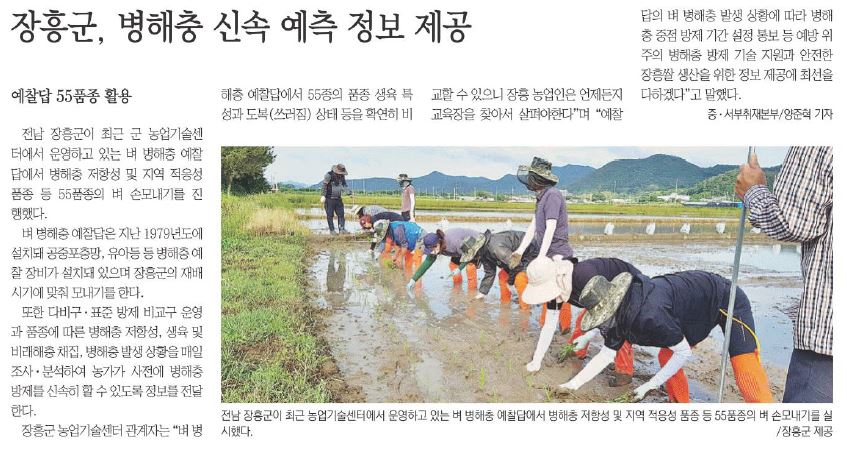 장흥군 농업기술센터 “벼 병해충 예찰답 55품종, 37주 손모내기”