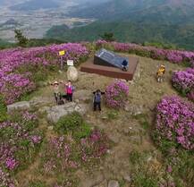 제암산철쭉