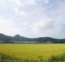 선학동마을