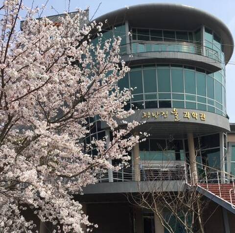 예쁜 벚꽃 구경하러 오세요~