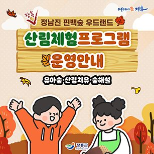 장흥 정남진 편백숲 우드랜드 산림체험 프로그램 운영안내 유아숲, 산림치유, 숲해설 [어머니품장흥 - 장흥군]