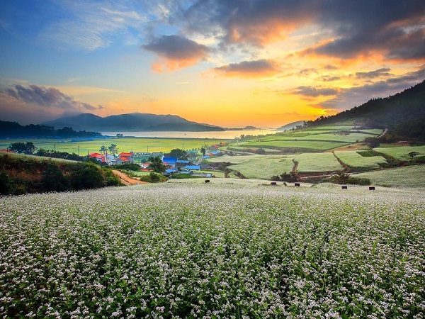 회진면 선학동 마을